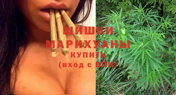 ПСИЛОЦИБИНОВЫЕ ГРИБЫ Абаза