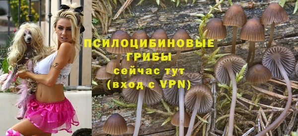 ПСИЛОЦИБИНОВЫЕ ГРИБЫ Абаза