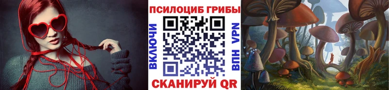 Псилоцибиновые грибы Psilocybe  Югорск 