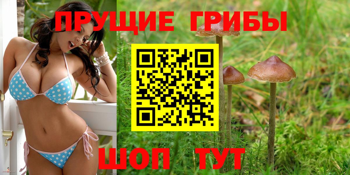 Псилоцибиновые грибы прущие грибы Югорск