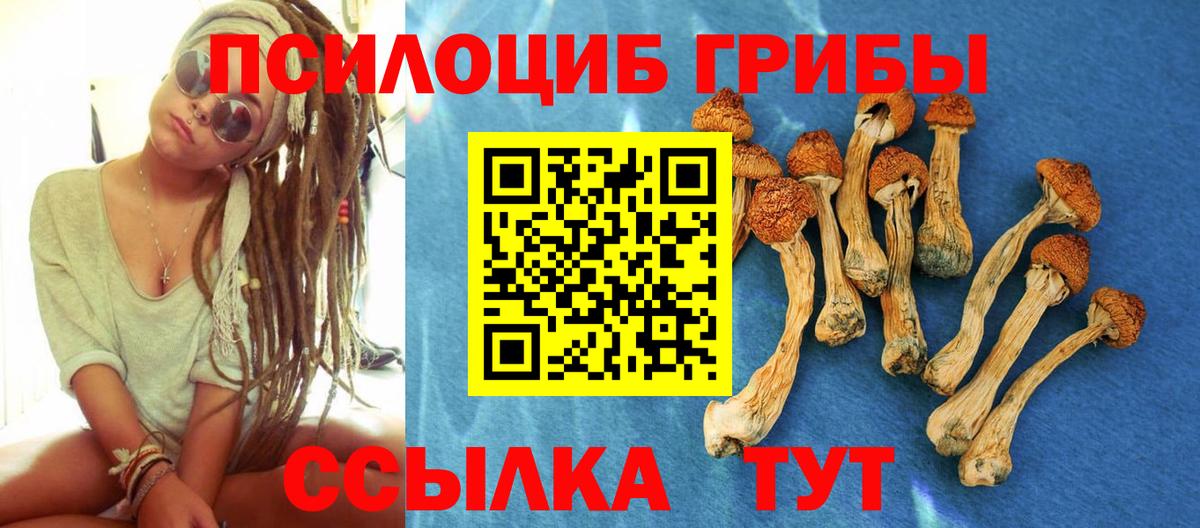где можно купить наркотик  Вход с VPN  Югорск  Псилоцибиновые грибы Cubensis 