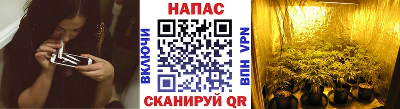 Шишки марихуана сатива  купить   Югорск 